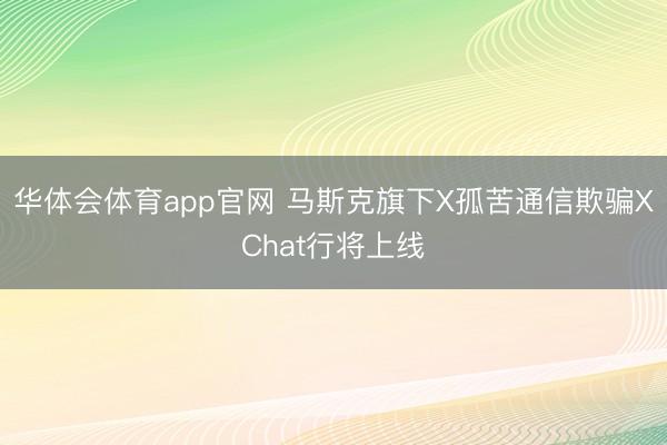 华体会体育app官网 马斯克旗下X孤苦通信欺骗XChat行将上线