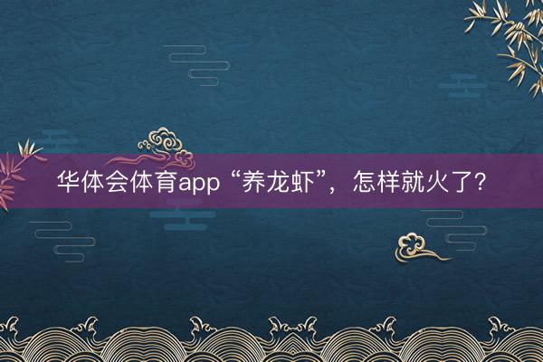 华体会体育app “养龙虾”，怎样就火了？