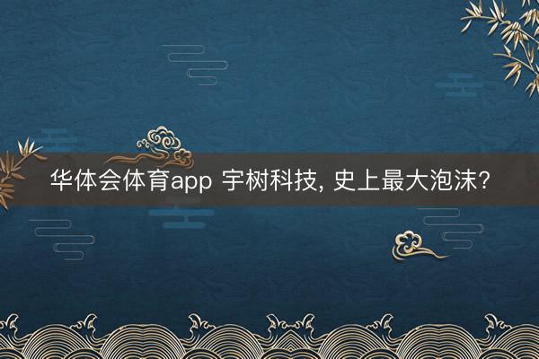 华体会体育app 宇树科技, 史上最大泡沫?