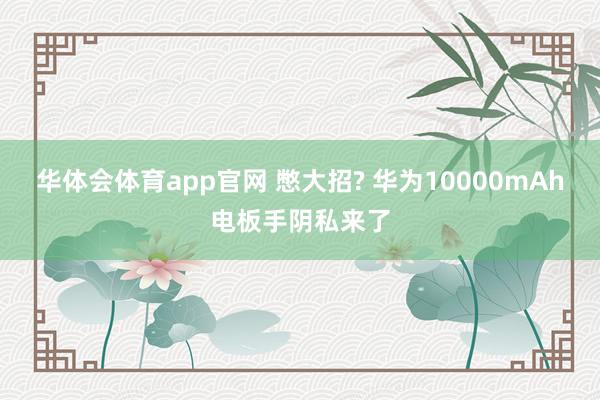 华体会体育app官网 憋大招? 华为10000mAh电板手阴私来了
