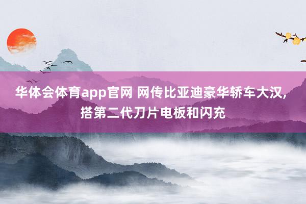 华体会体育app官网 网传比亚迪豪华轿车大汉, 搭第二代刀片电板和闪充