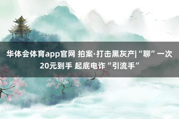 华体会体育app官网 拍案·打击黑灰产|“聊”一次20元到手 起底电诈“引流手”