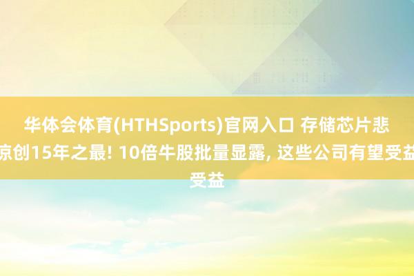 华体会体育(HTHSports)官网入口 存储芯片悲凉创15年之最! 10倍牛股批量显露， 这些公司有望受益