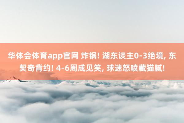 华体会体育app官网 炸锅! 湖东谈主0-3绝境， 东契奇背约! 4-6周成见笑， 球迷怒喷藏猫腻!