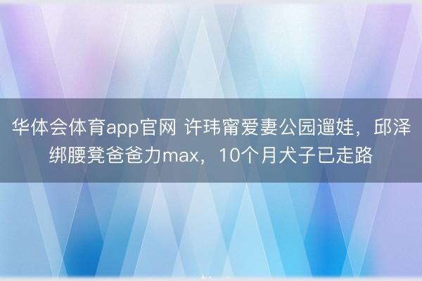华体会体育app官网 许玮甯爱妻公园遛娃，邱泽绑腰凳爸爸力max，10个月犬子已走路