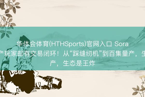 华体会体育(HTHSports)官网入口 Sora停摆，国产玩家却有交易闭环！从“踩缝纫机”到百集量产，生态是王炸
