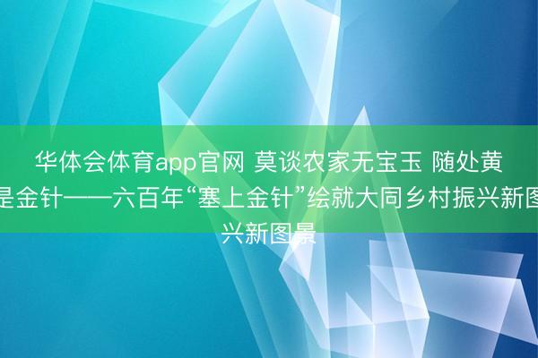华体会体育app官网 莫谈农家无宝玉 随处黄花是金针——六百年“塞上金针”绘就大同乡村振兴新图景