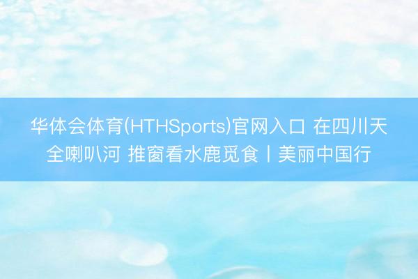 华体会体育(HTHSports)官网入口 在四川天全喇叭河 推窗看水鹿觅食丨美丽中国行