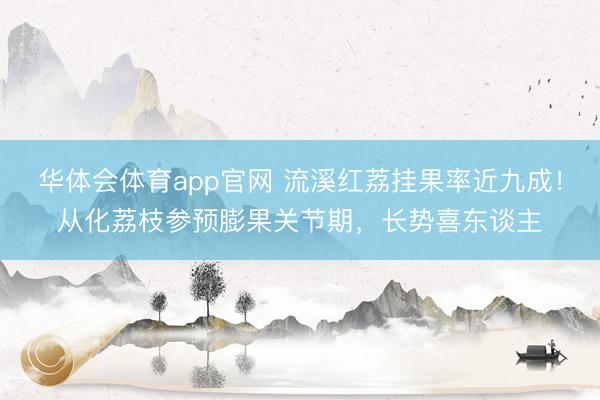 华体会体育app官网 流溪红荔挂果率近九成！从化荔枝参预膨果关节期，长势喜东谈主